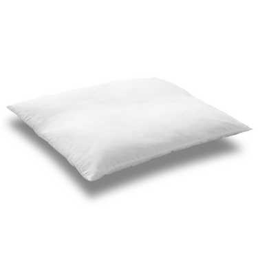 CloudComfort Basic Oreiller en microfibre 80 x 80 cm