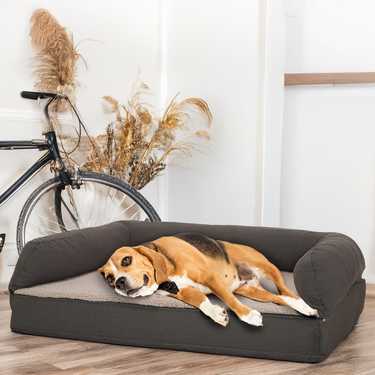 100 x 70 x 27 cm Lit orthopédique pour chien avec dossier taille M